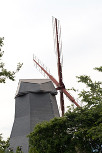 The Wind Mill